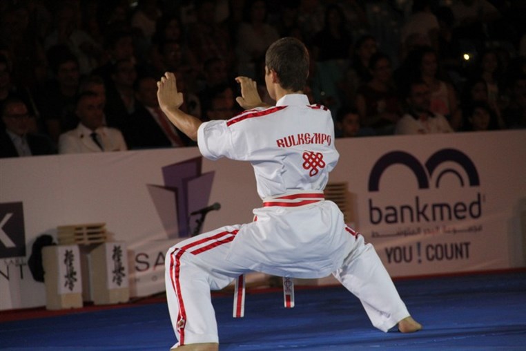 Martial Arts Festival